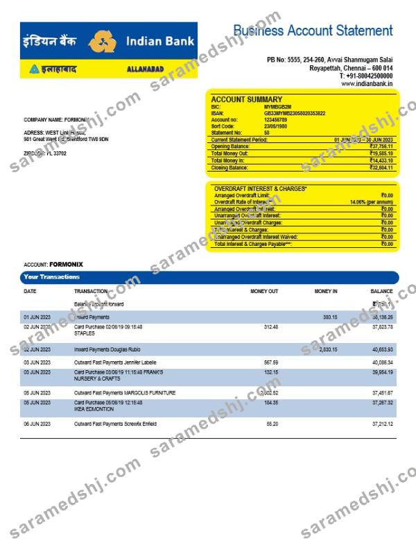 Indian Bank organization checking account statement Word and PDF template